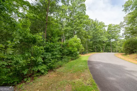 0 Fall Pippin Ct, Clarkesville, GA 30523 photo 7