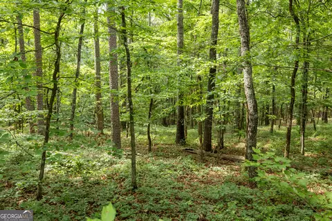 0 Fall Pippin Ct, Clarkesville, GA 30523 photo 4