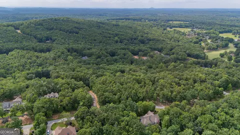 0 Fall Pippin Ct, Clarkesville, GA 30523 photo 13