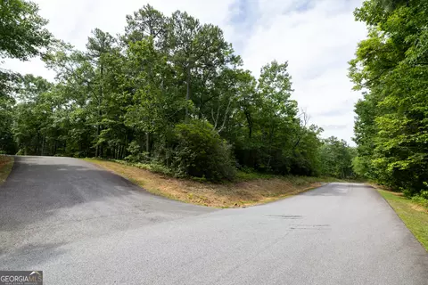 0 Fall Pippin Ct, Clarkesville, GA 30523 photo 10