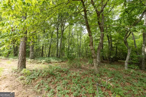 0 Fall Pippin Ct, Clarkesville, GA 30523 photo 11