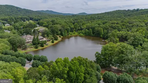 0 Fall Pippin Ct, Clarkesville, GA 30523 photo 39