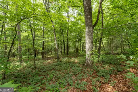 0 Fall Pippin Ct, Clarkesville, GA 30523 photo 6
