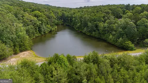 0 Fall Pippin Ct, Clarkesville, GA 30523 photo 30