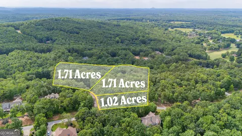 0 Fall Pippin Ct, Clarkesville, GA 30523