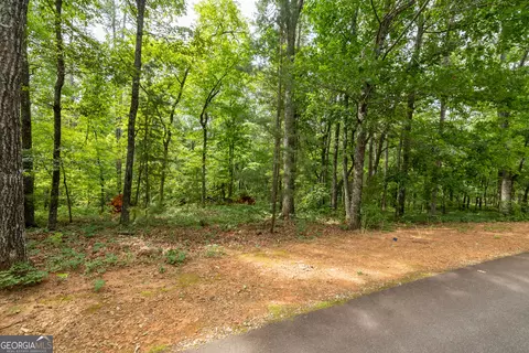 0 Fall Pippin Ct, Clarkesville, GA 30523 photo 5