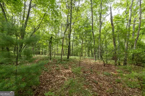 0 Fall Pippin Ct, Clarkesville, GA 30523 photo 12