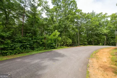 0 Fall Pippin Ct, Clarkesville, GA 30523 photo 8