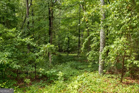 0 Fall Pippin Ct, Clarkesville, GA 30523 photo 9