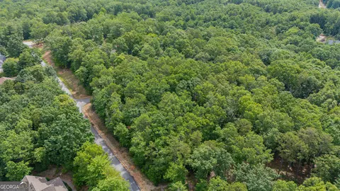 0 Fall Pippin Ct, Clarkesville, GA 30523 photo 24