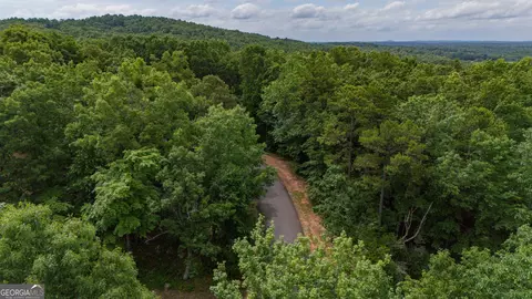 0 Fall Pippin Ct, Clarkesville, GA 30523 photo 27