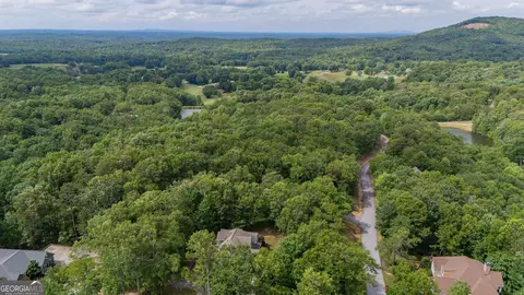 0 Fall Pippin Ct, Clarkesville, GA 30523 photo 23