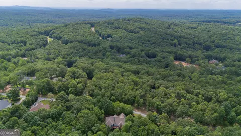 0 Fall Pippin Ct, Clarkesville, GA 30523 photo 15