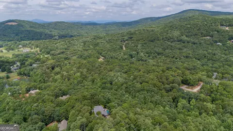 0 Fall Pippin Ct, Clarkesville, GA 30523 photo 18