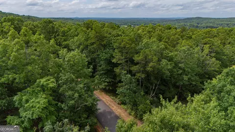 0 Fall Pippin Ct, Clarkesville, GA 30523 photo 26