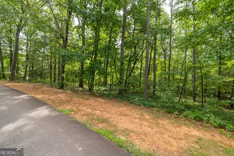 0 Fall Pippin Ct, Clarkesville, GA 30523 photo 3
