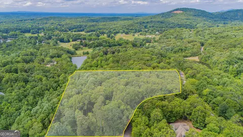 0 Fall Pippin Ct, Clarkesville, GA 30523 photo 19
