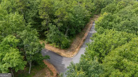 0 Fall Pippin Ct, Clarkesville, GA 30523 photo 25