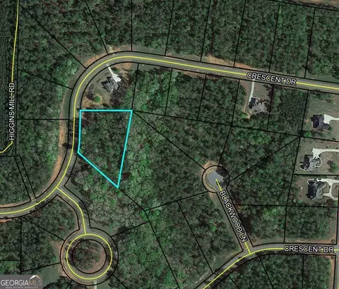 315 Crescent Dr, Forsyth, GA 31029