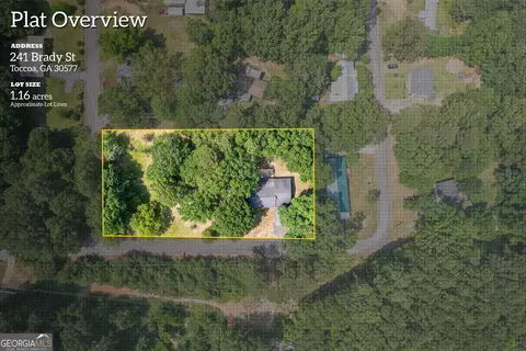 View/Area - 241 Brady St, Toccoa, GA 30577 photo 12 of 13