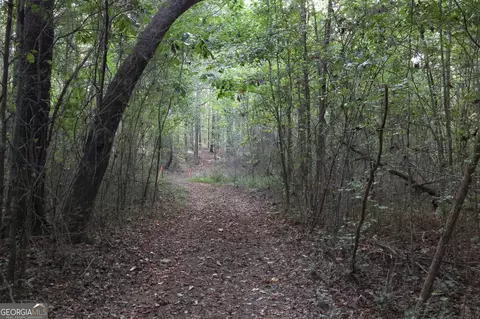2486 Highway 54, Moreland, GA 30259