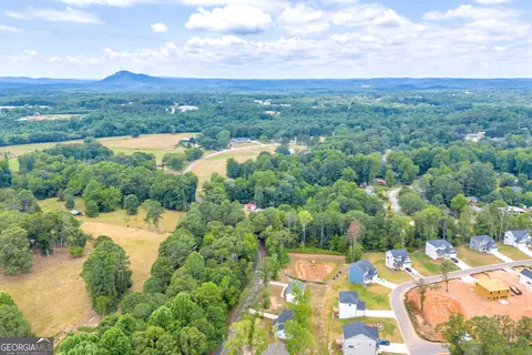 1795 Skyline Dr, Toccoa, GA 30577 photo 9