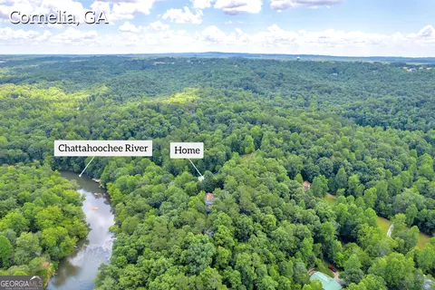 View/Area - 255 River Swing Rd, Cornelia, GA 30531 photo 9 of 11