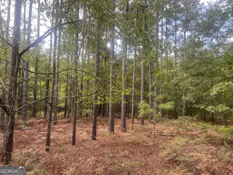 0 Scuffletown Rd, Twin City, GA 30471