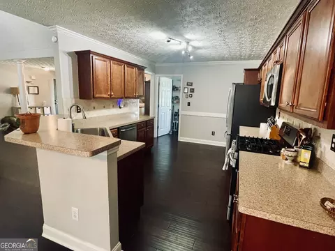 111 Blue Smoke Trl, Hampton, GA 30228 photo 17