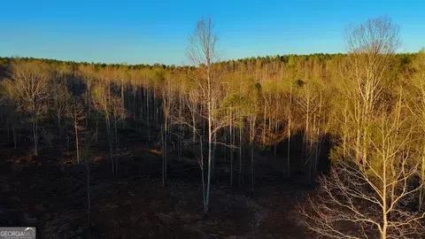 002 Tower Rd, Toccoa, GA 30577 photo 5