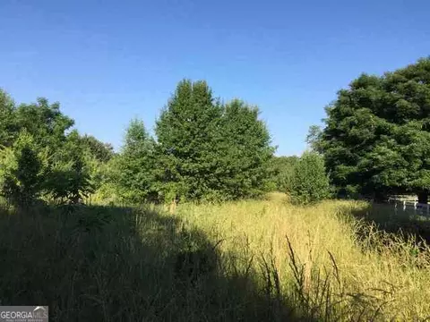 333 Durham Rd, Milner, GA 30257 photo 5