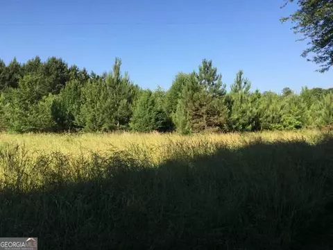 333 Durham Rd, Milner, GA 30257 photo 6
