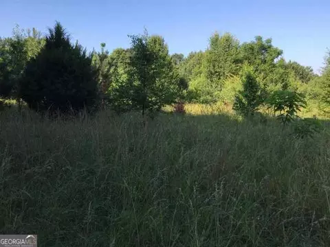 333 Durham Rd, Milner, GA 30257 photo 4