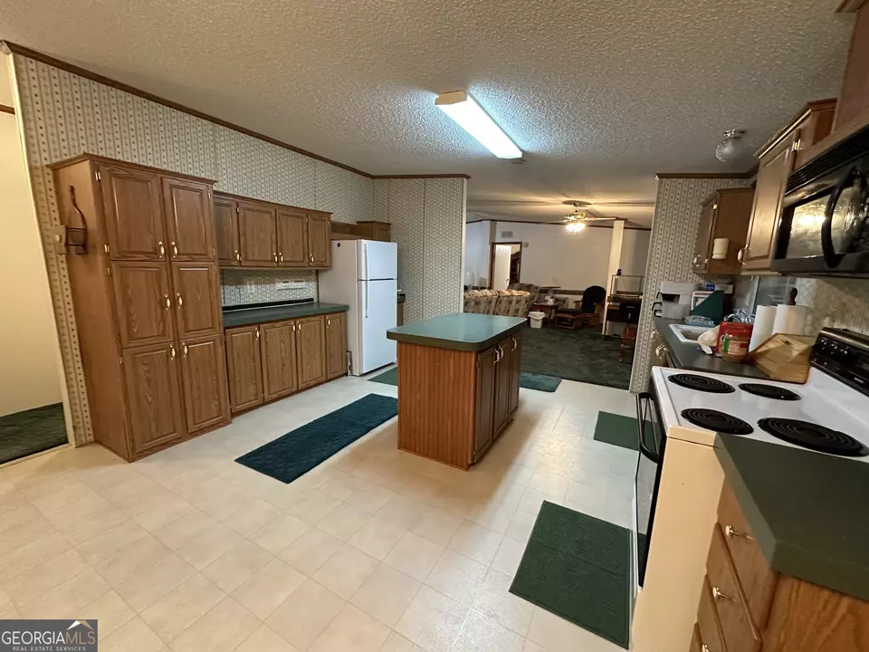  245 Chalybeate Springs Rd #2.51 ACRES, Woodland, GA 31836 photo 12