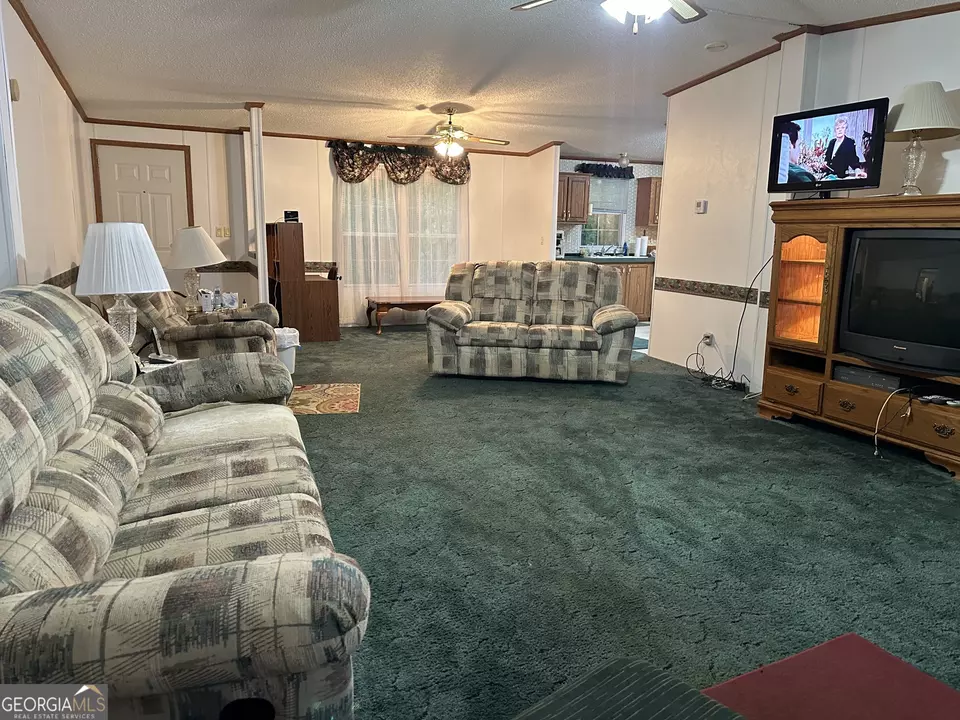  245 Chalybeate Springs Rd #2.51 ACRES, Woodland, GA 31836 photo 6