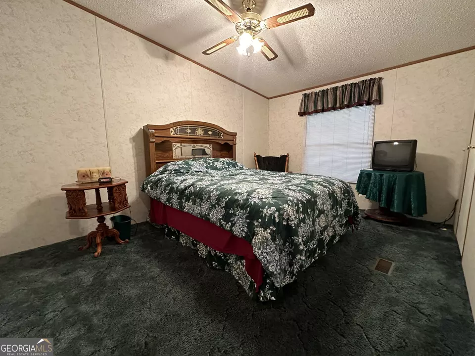  245 Chalybeate Springs Rd #2.51 ACRES, Woodland, GA 31836 photo 26