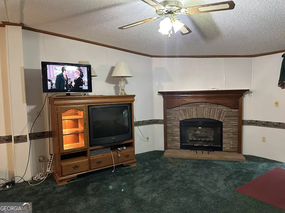  245 Chalybeate Springs Rd #2.51 ACRES, Woodland, GA 31836 photo 8