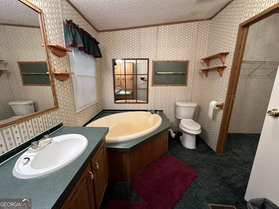  245 Chalybeate Springs Rd #2.51 ACRES, Woodland, GA 31836 photo 22