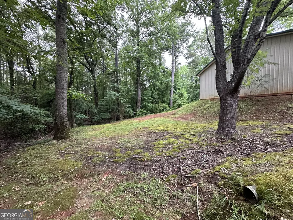  245 Chalybeate Springs Rd #2.51 ACRES, Woodland, GA 31836 photo 52