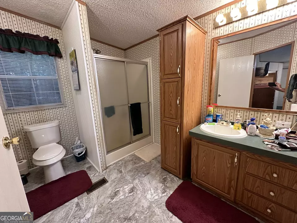  245 Chalybeate Springs Rd #2.51 ACRES, Woodland, GA 31836 photo 30