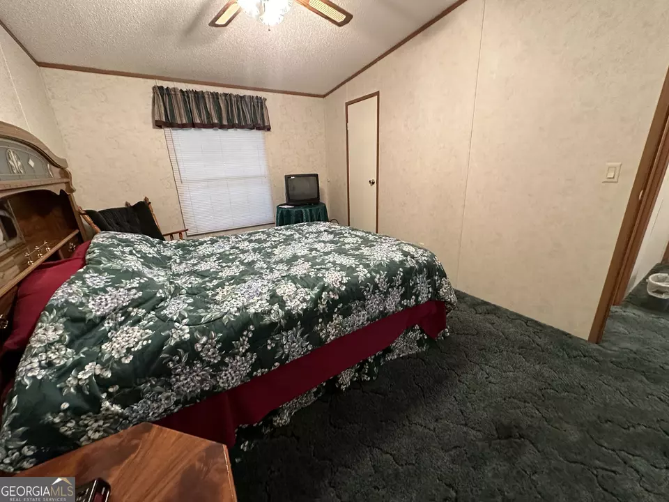  245 Chalybeate Springs Rd #2.51 ACRES, Woodland, GA 31836 photo 27