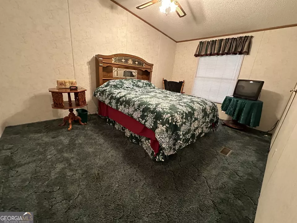  245 Chalybeate Springs Rd #2.51 ACRES, Woodland, GA 31836 photo 19