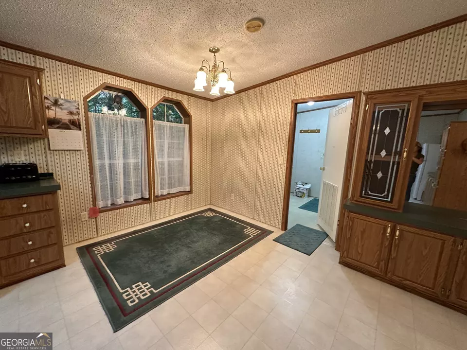  245 Chalybeate Springs Rd #2.51 ACRES, Woodland, GA 31836 photo 3