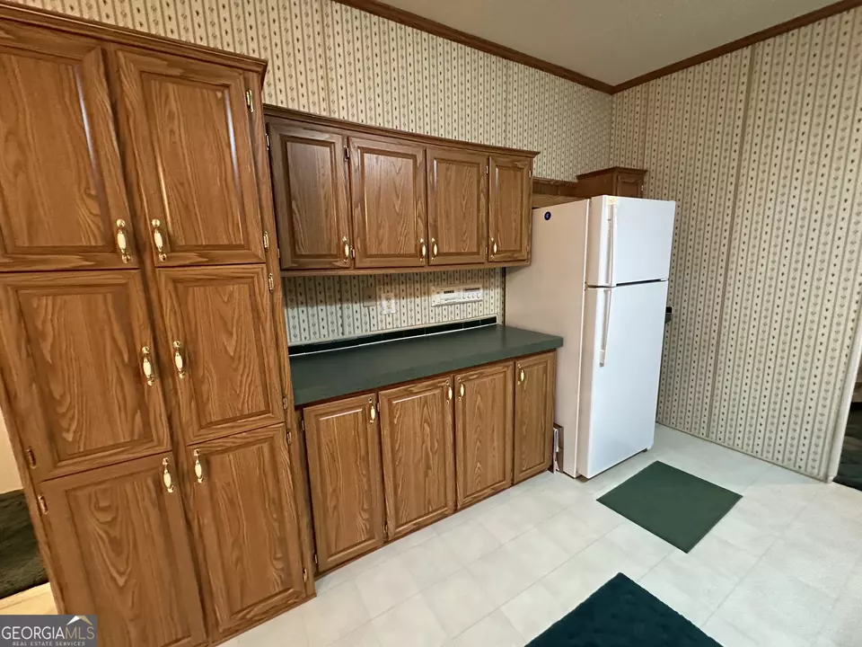  245 Chalybeate Springs Rd #2.51 ACRES, Woodland, GA 31836 photo 14