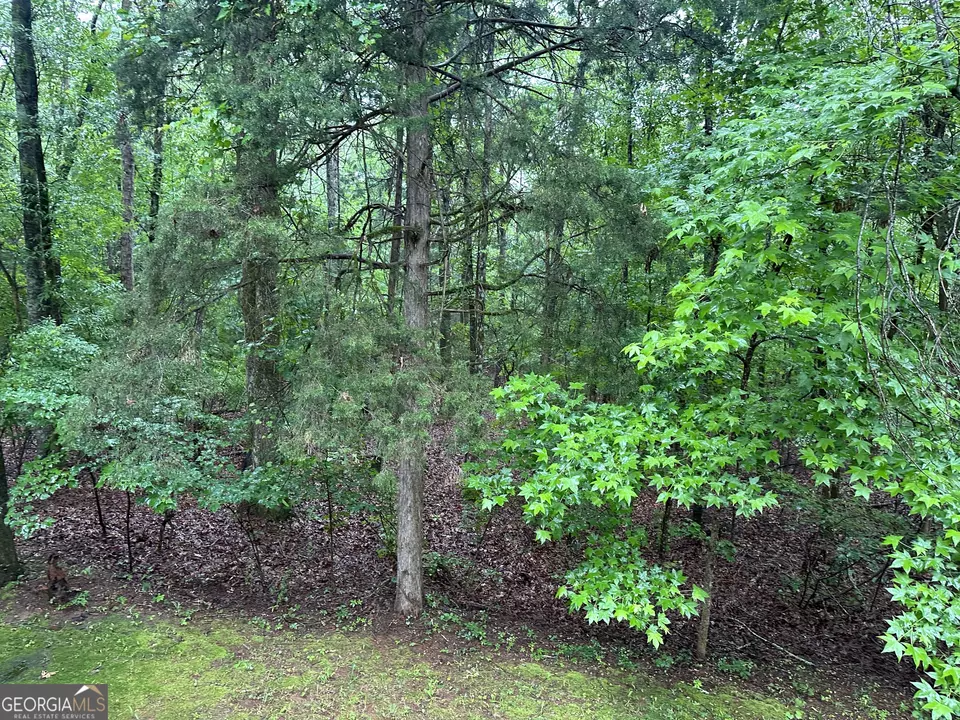  245 Chalybeate Springs Rd #2.51 ACRES, Woodland, GA 31836 photo 56