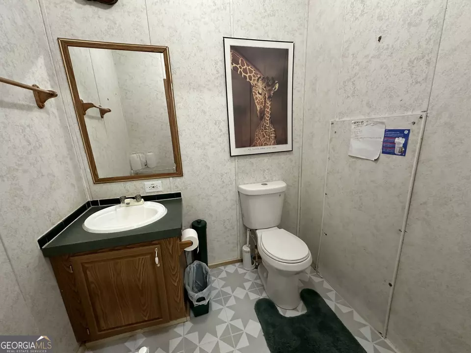  245 Chalybeate Springs Rd #2.51 ACRES, Woodland, GA 31836 photo 28