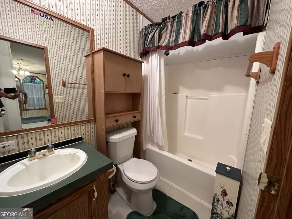  245 Chalybeate Springs Rd #2.51 ACRES, Woodland, GA 31836 photo 18