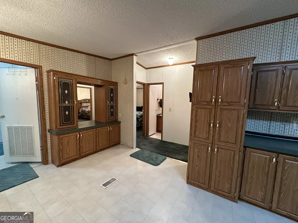  245 Chalybeate Springs Rd #2.51 ACRES, Woodland, GA 31836 photo 13