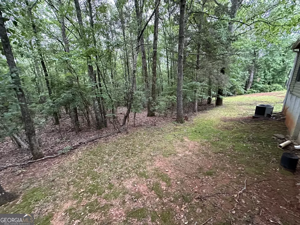  245 Chalybeate Springs Rd #2.51 ACRES, Woodland, GA 31836 photo 53