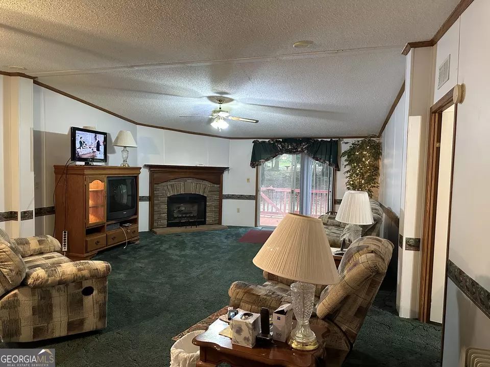  245 Chalybeate Springs Rd #2.51 ACRES, Woodland, GA 31836 photo 4